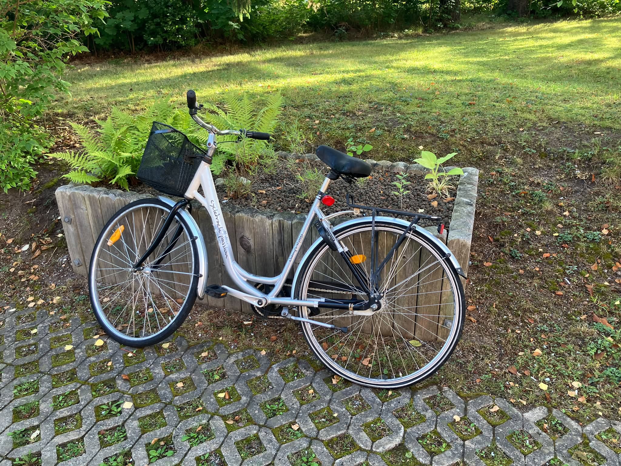 Found bike