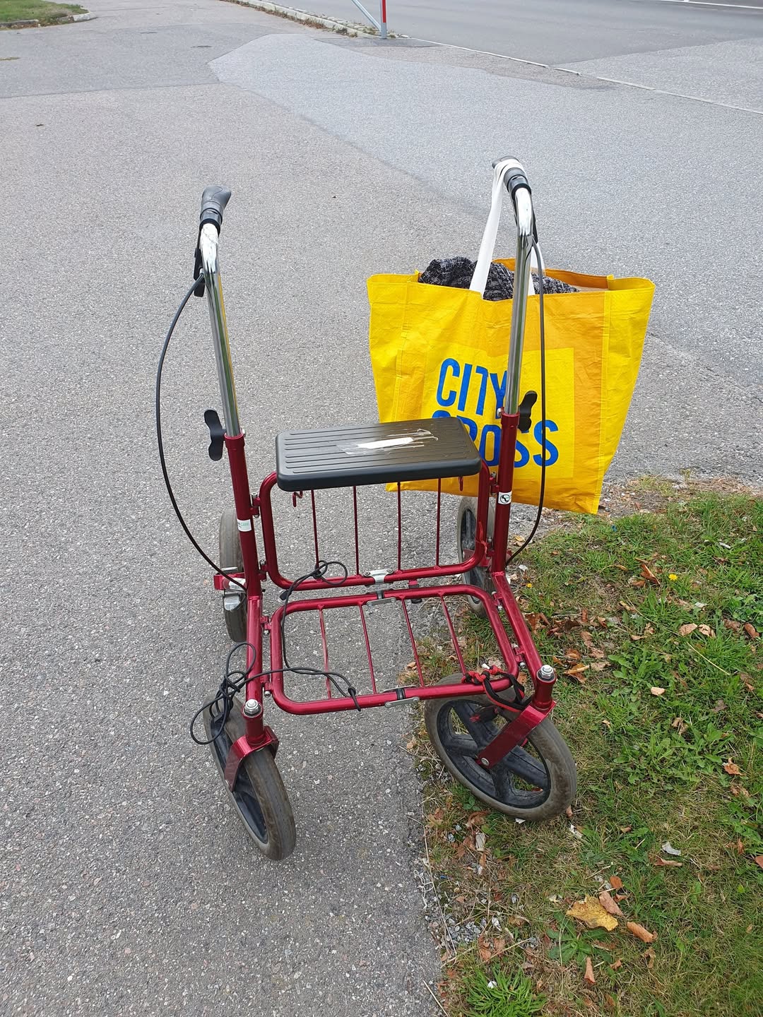 Found Walker in NorrtäLje