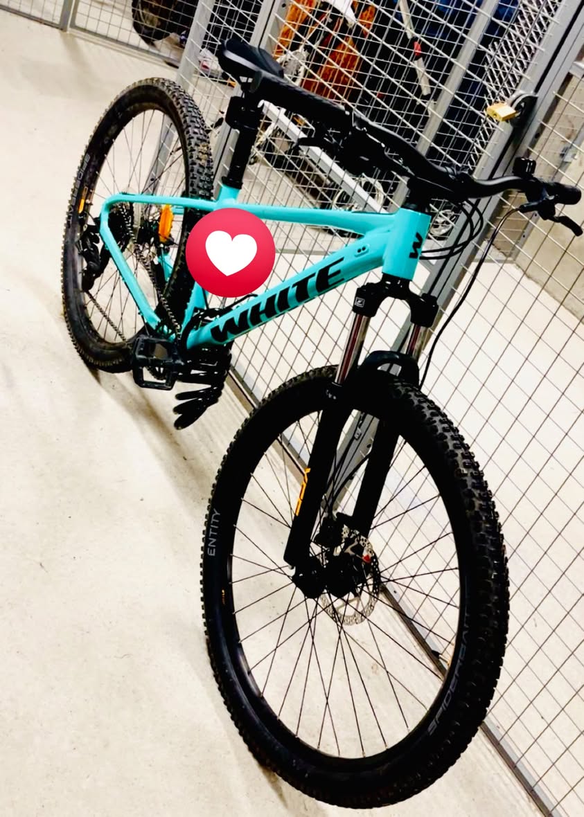 Found Bike in Orkanger