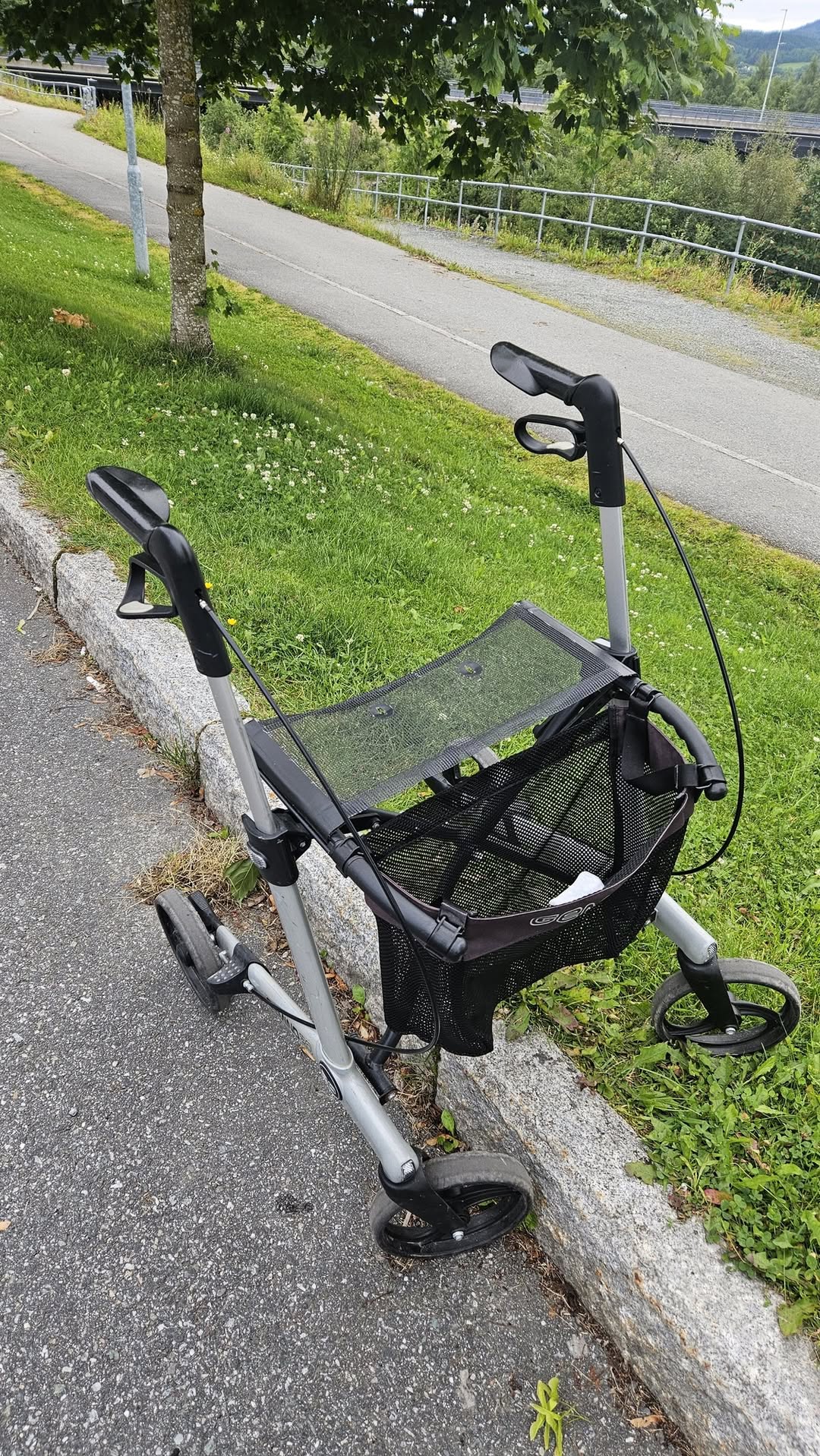 Found Walker in Orkanger