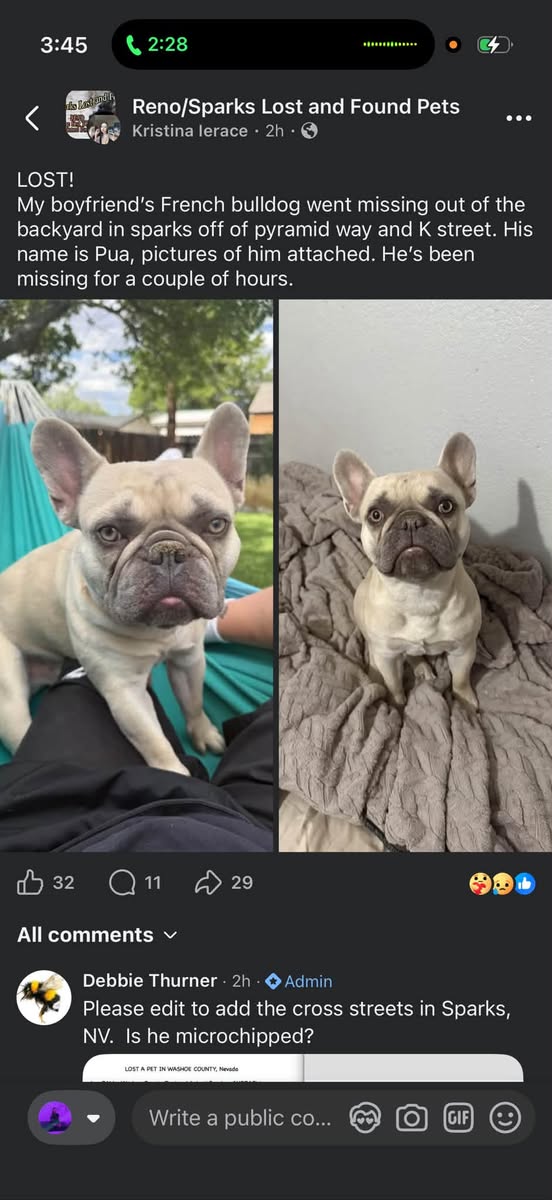 Lost Dog in Sparks