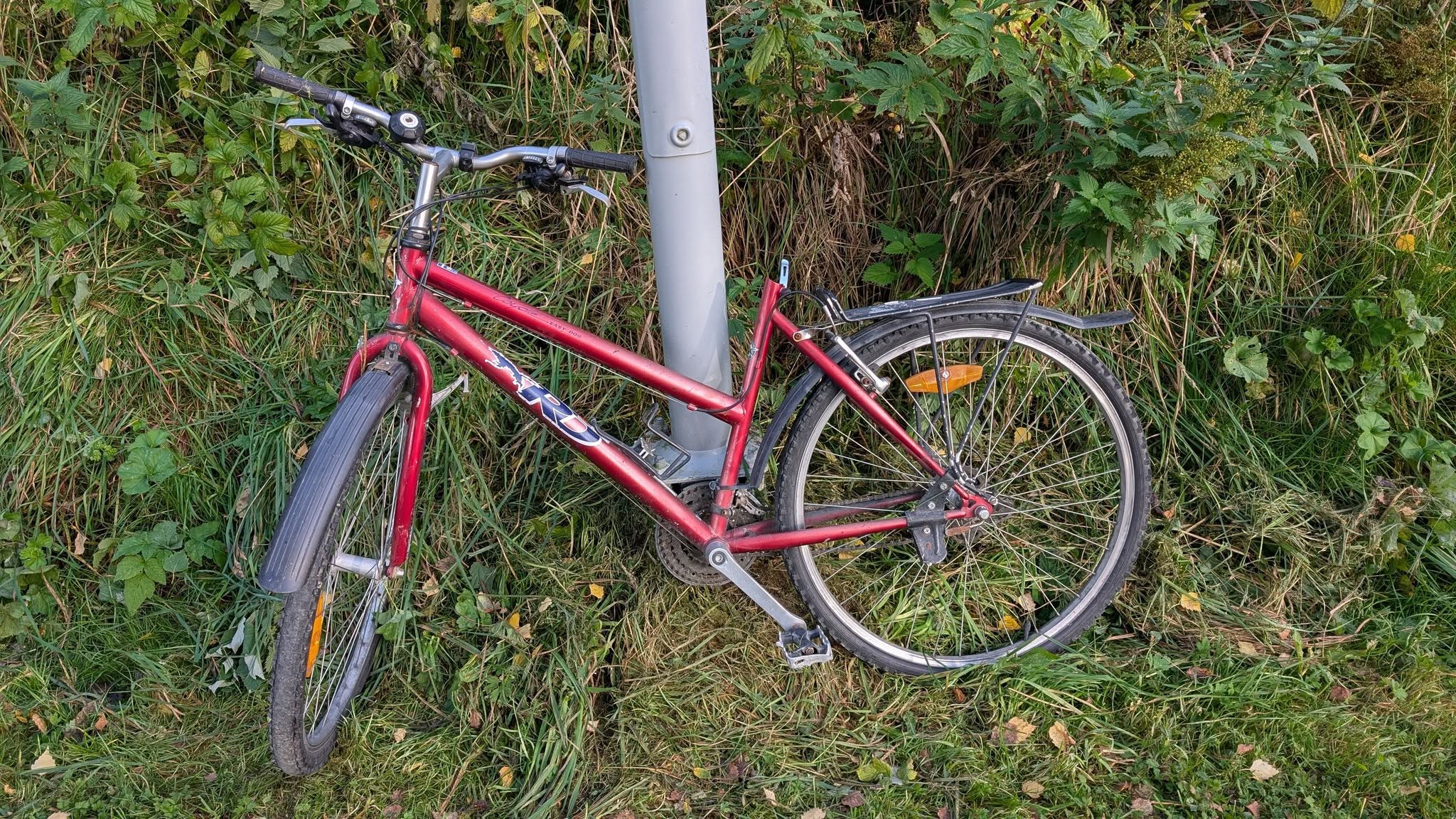 Found bike