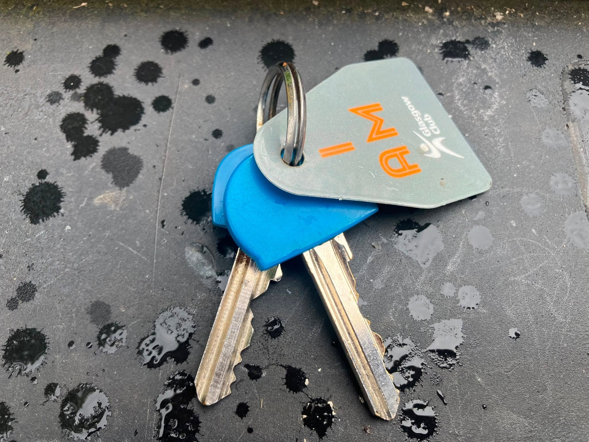 Found keys