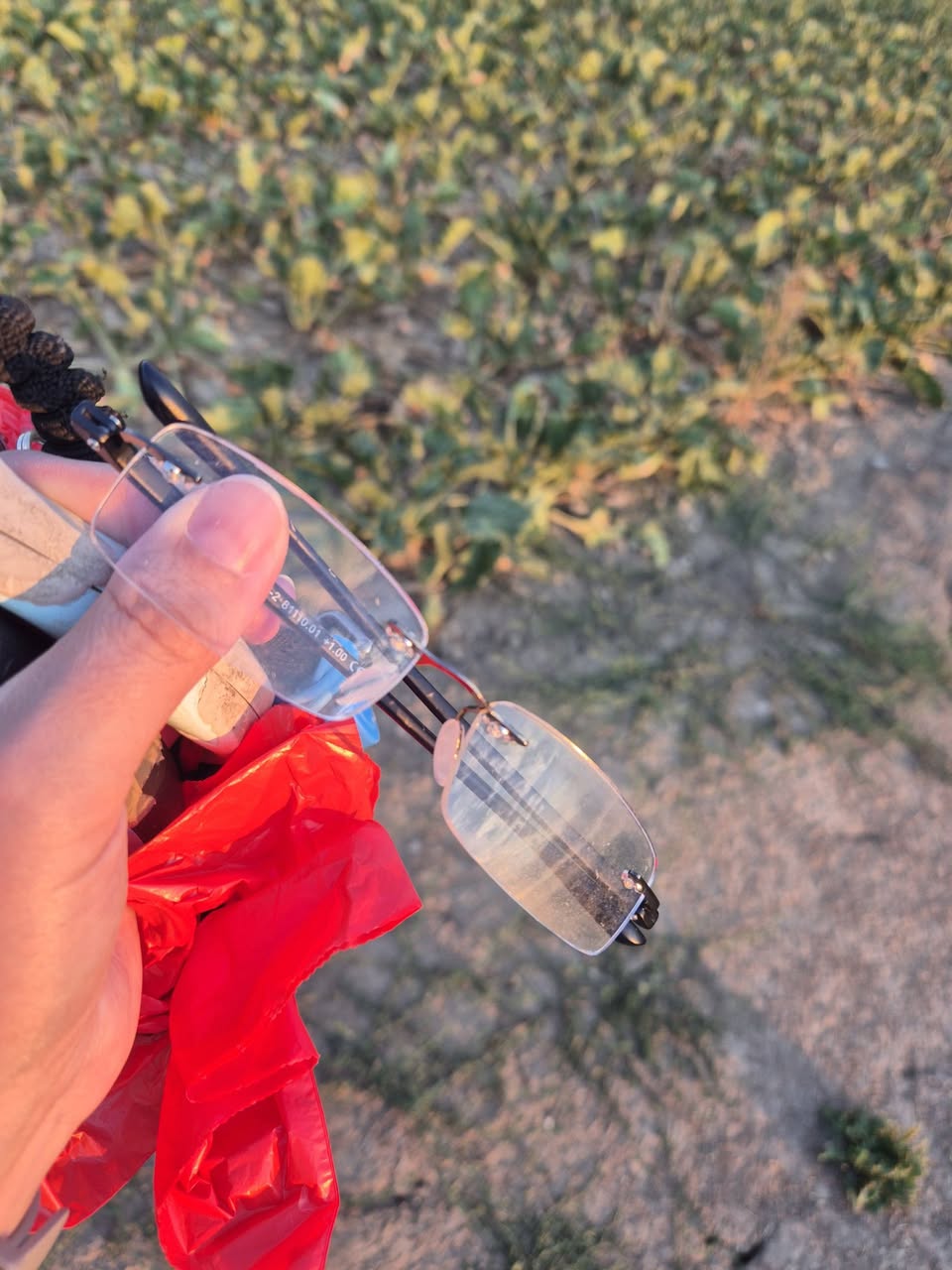 Found glasses
