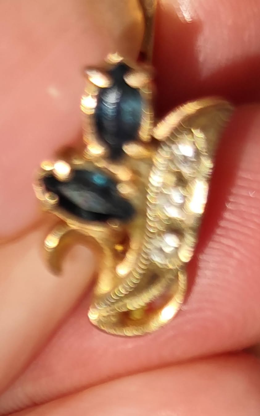 Lost Earring in Sion
