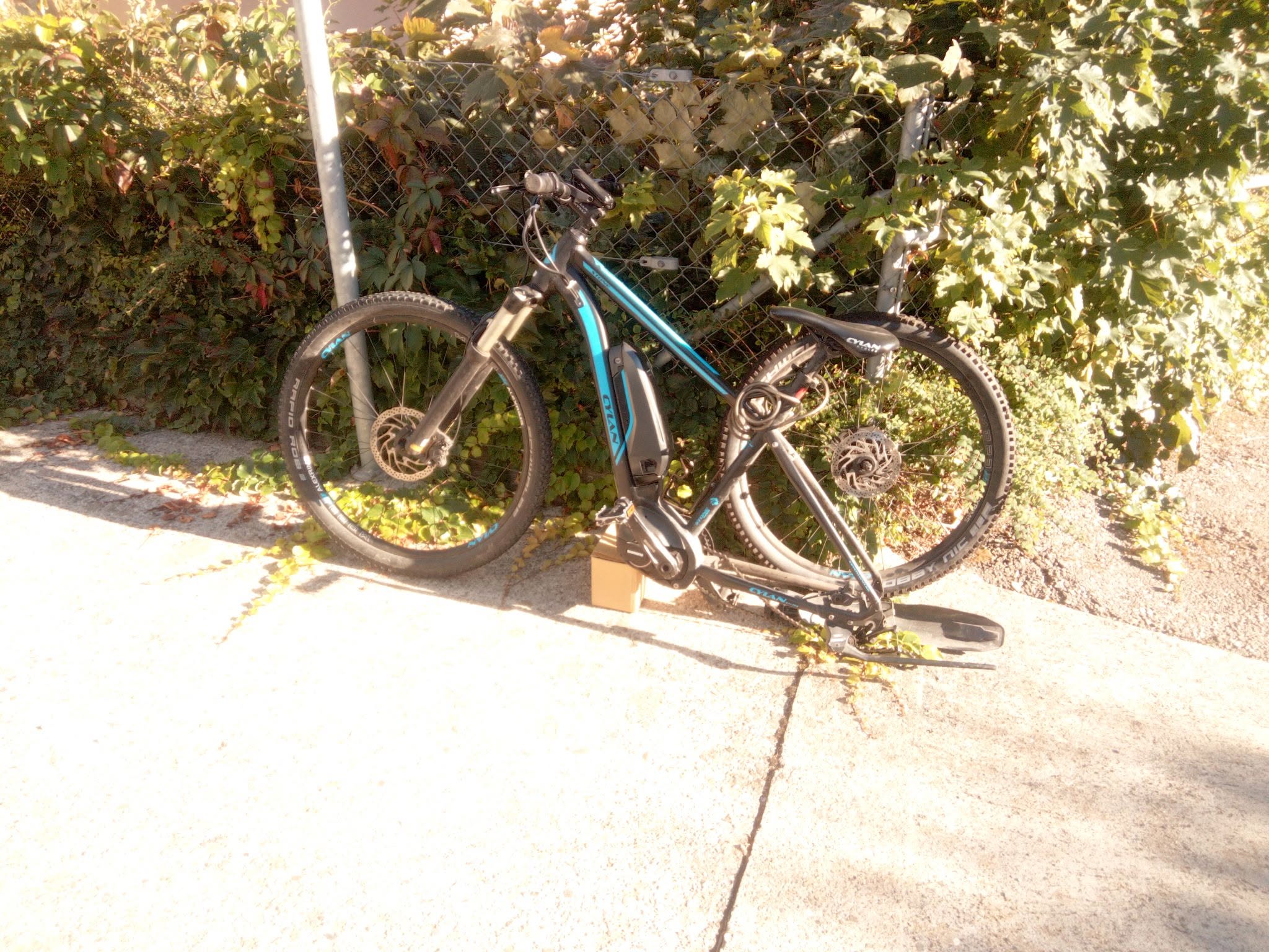 Found bike