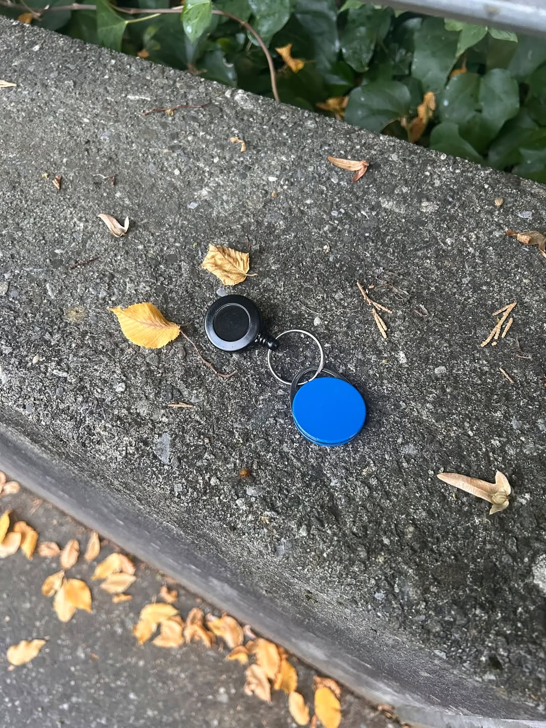 Found keychain