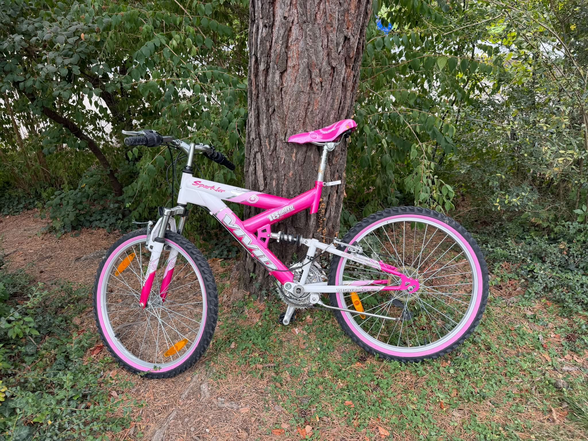 Found bike