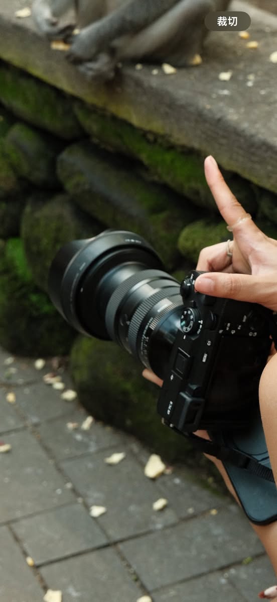 Lost camera