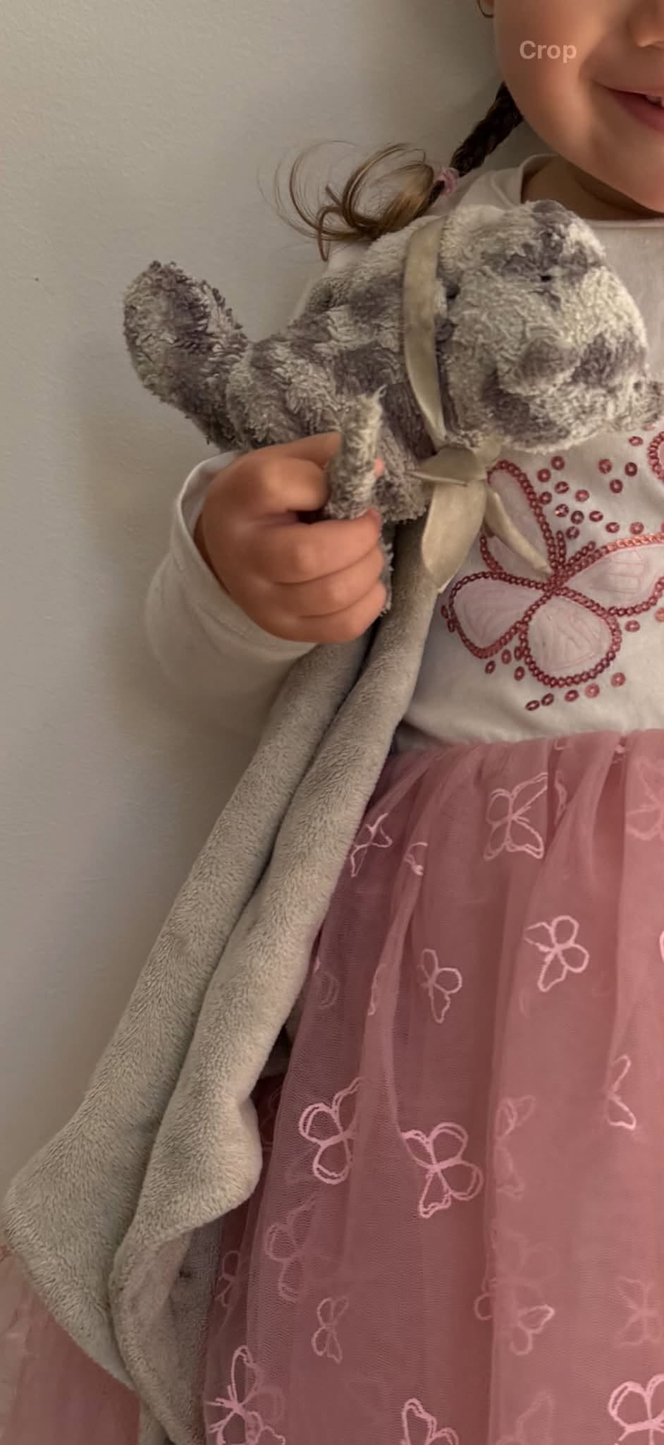 Lost Toy in Melbourne
