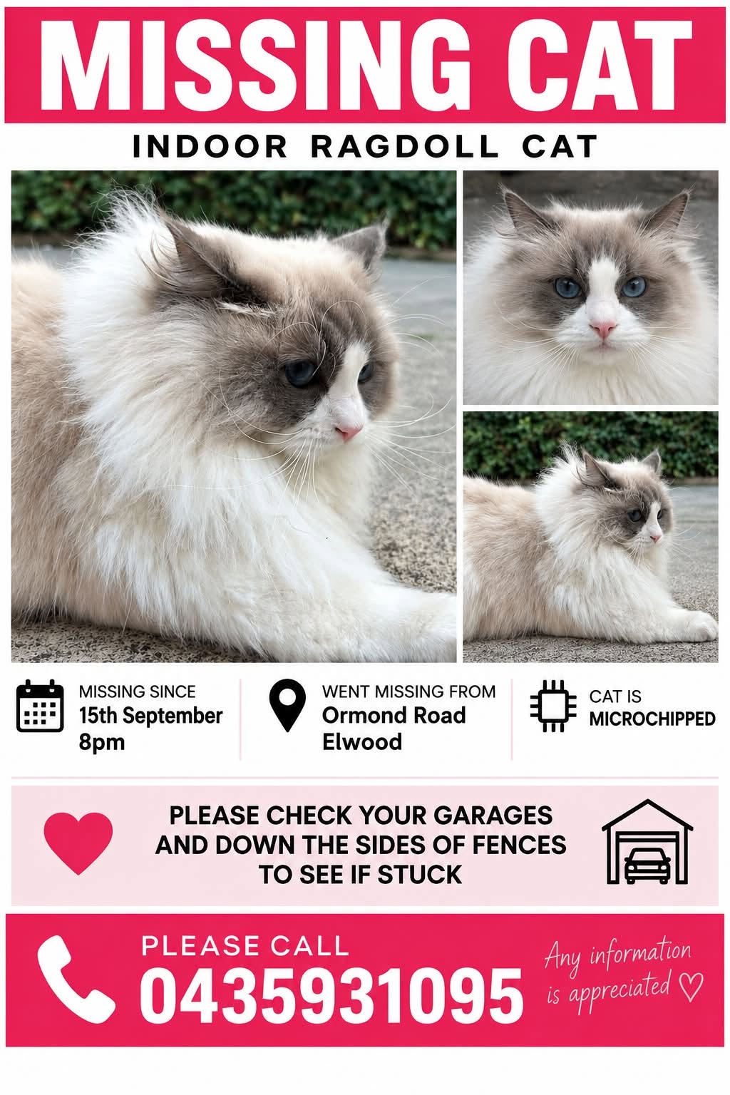 Lost Cat in Melbourne