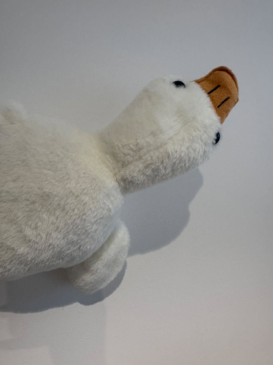 Found toy