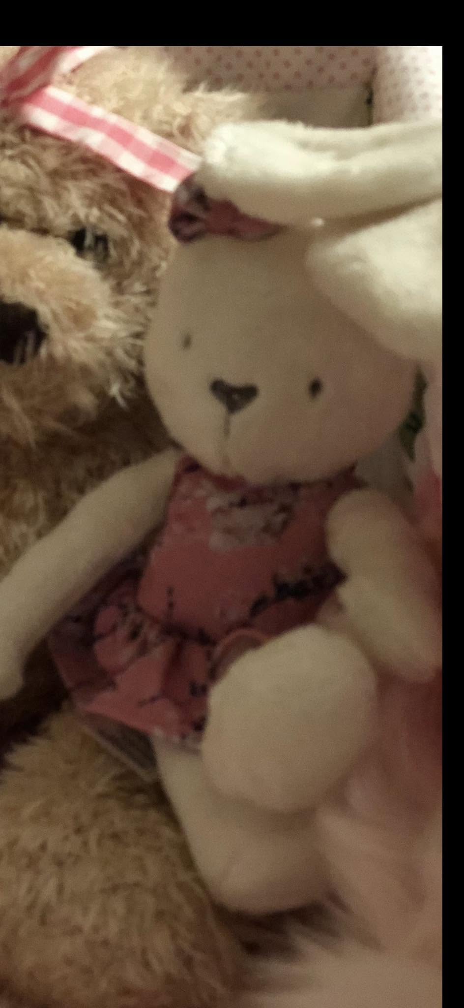 Lost Toy in Leeds