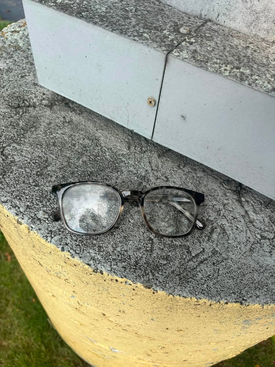 Found glasses