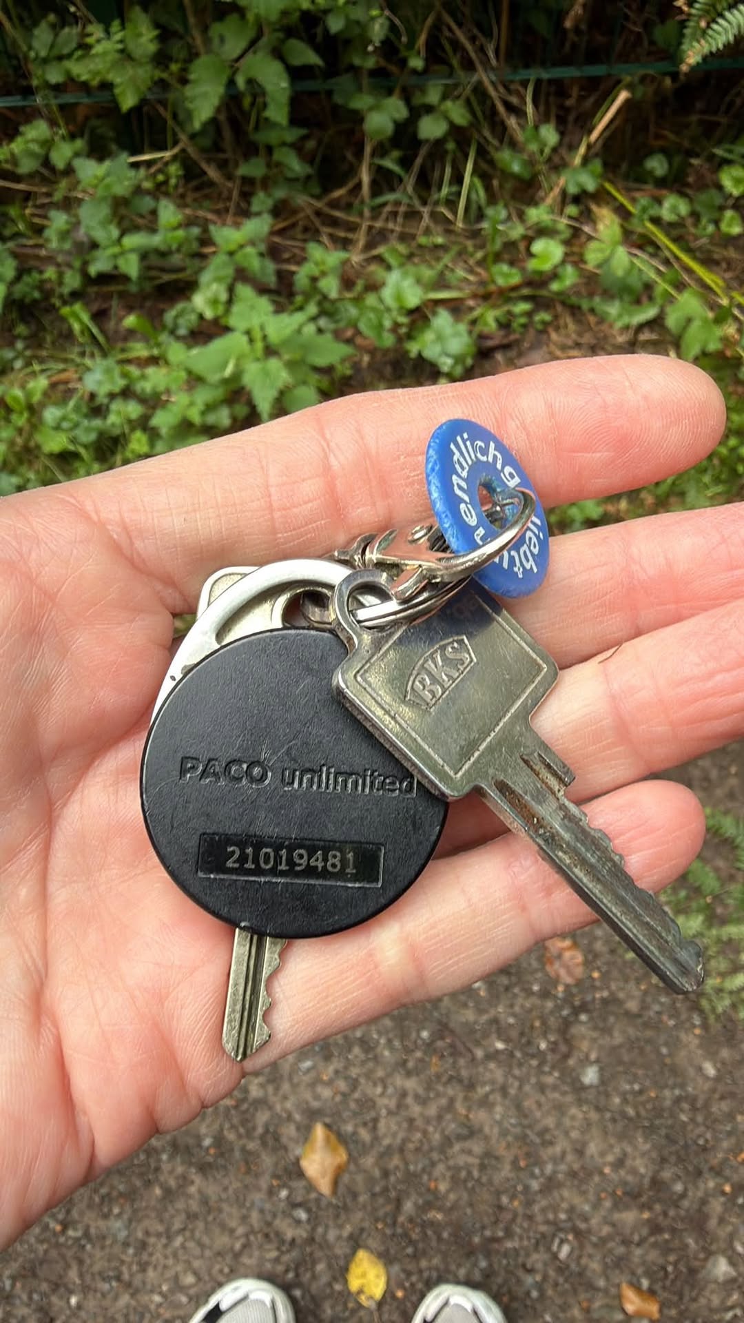 Found keys