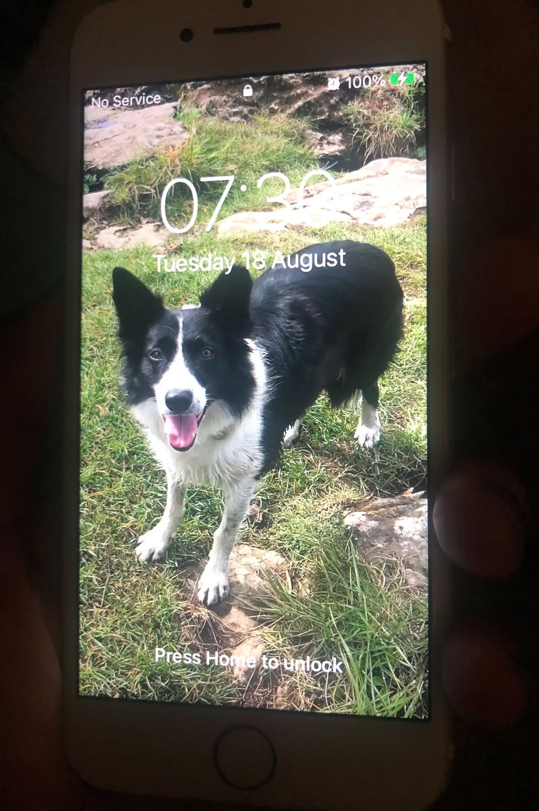 Found phone