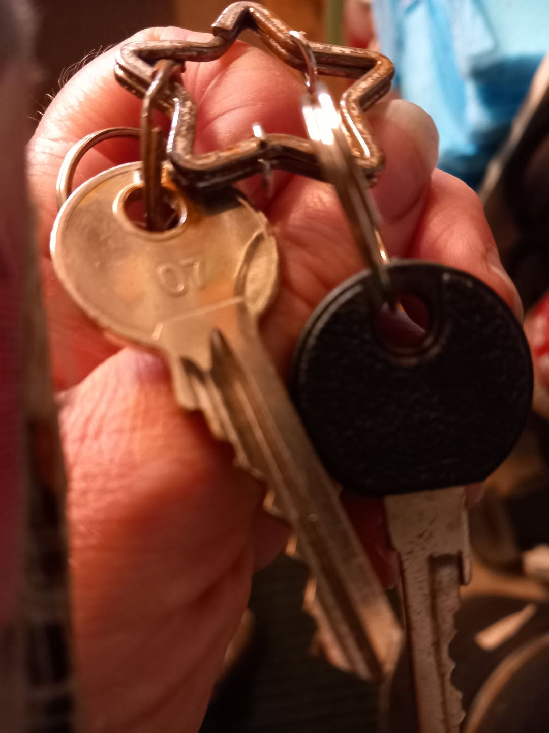 Found Keys in Buddies Pet Supplies