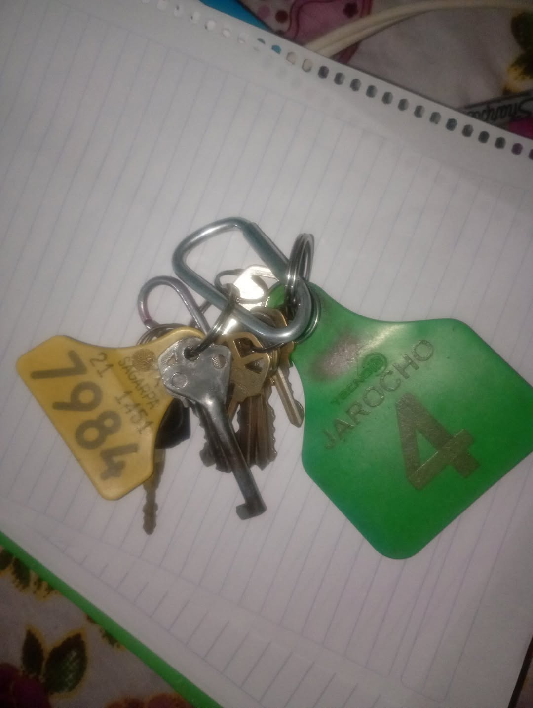 Lost Keys in Chiautla De Tapia
