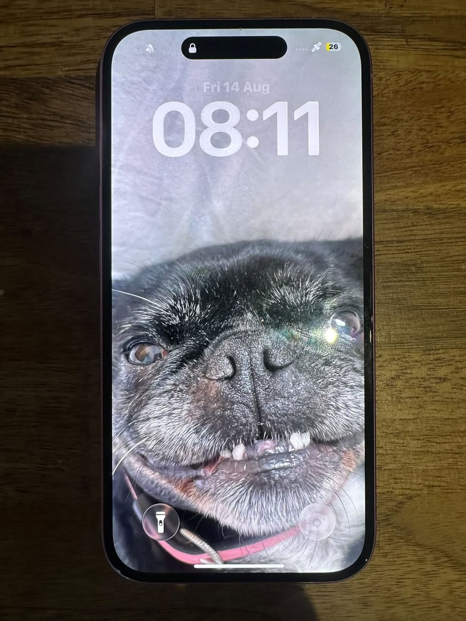 Found phone