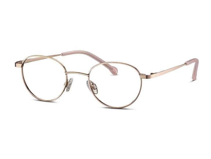 Lost Glasses in GroßHeubach Am Main