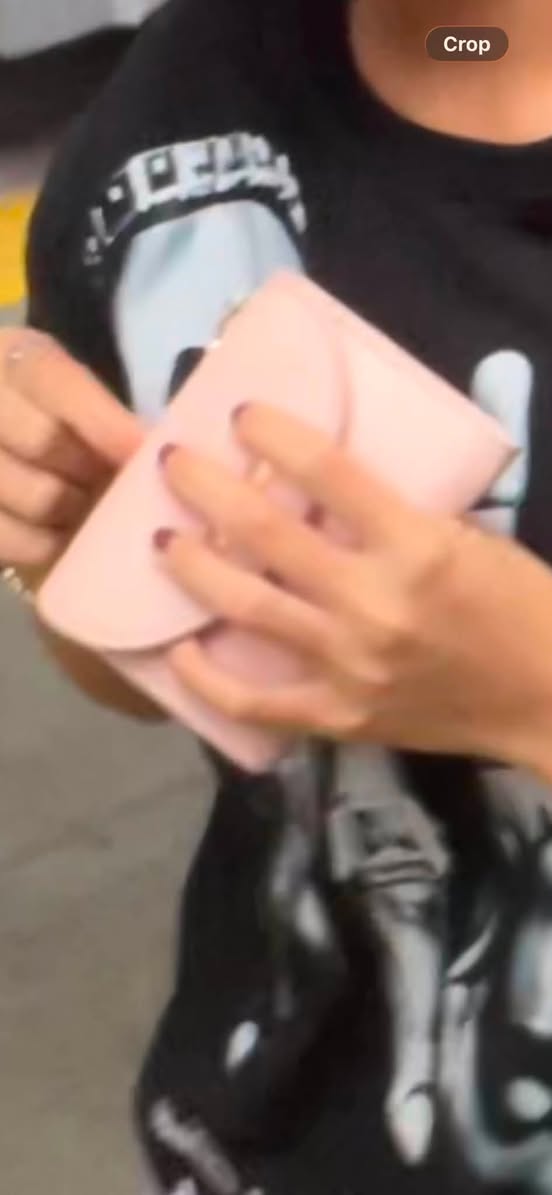 Lost Wallet in DasmariñAs