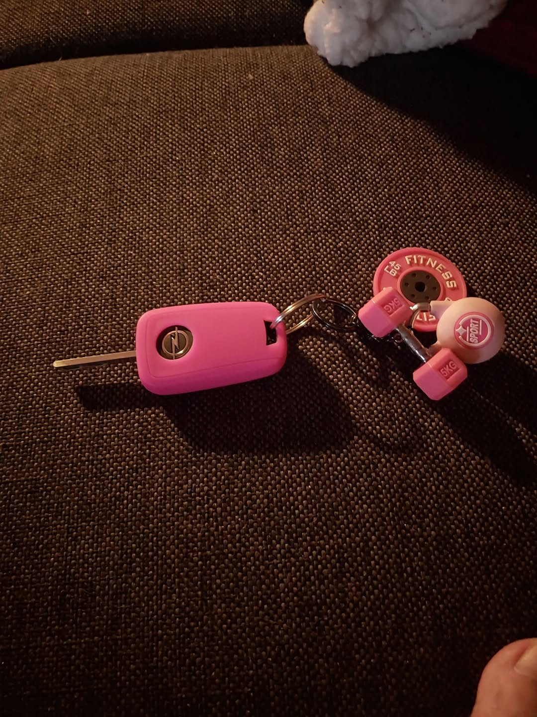 Found keys