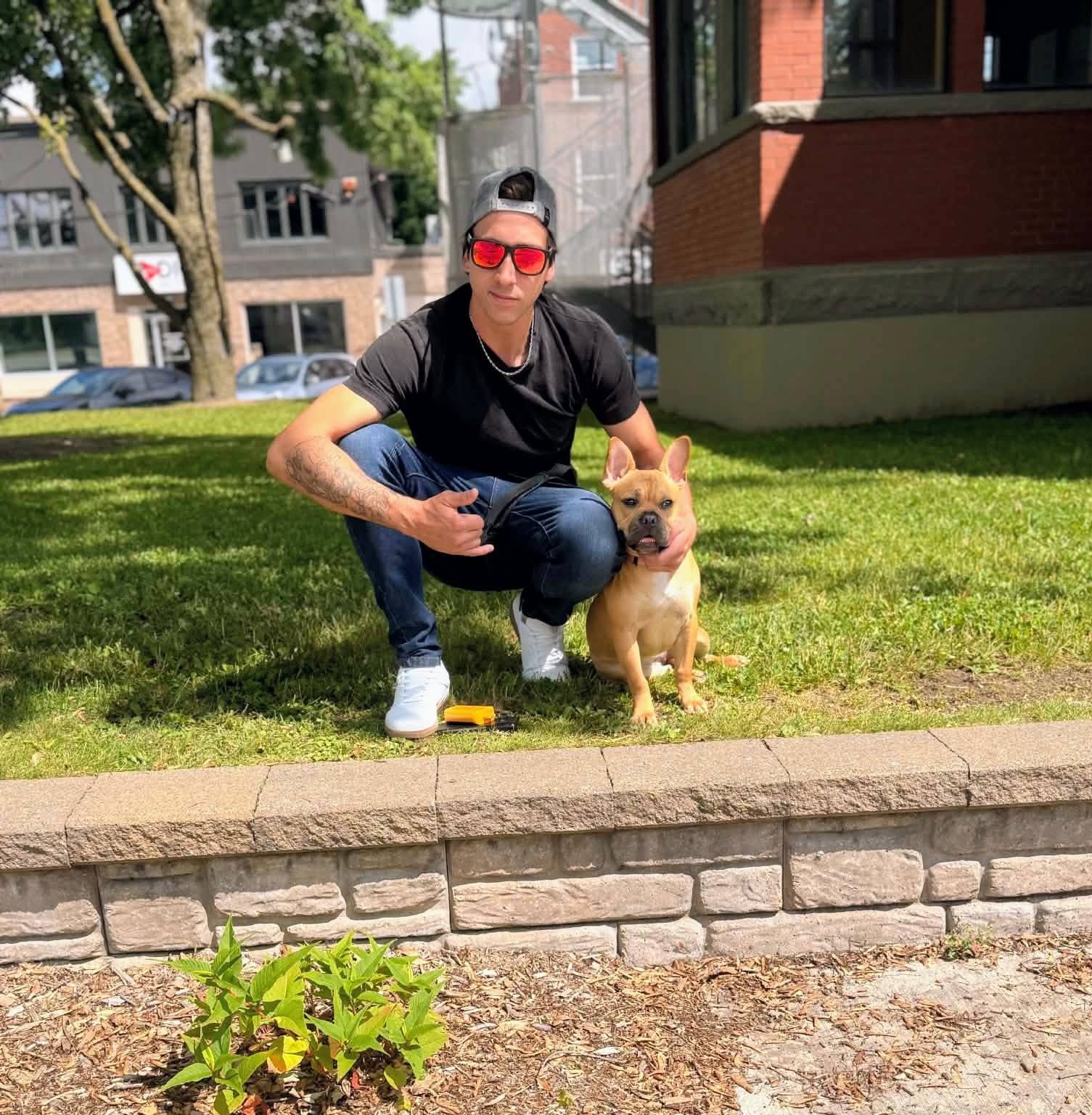 Lost dog