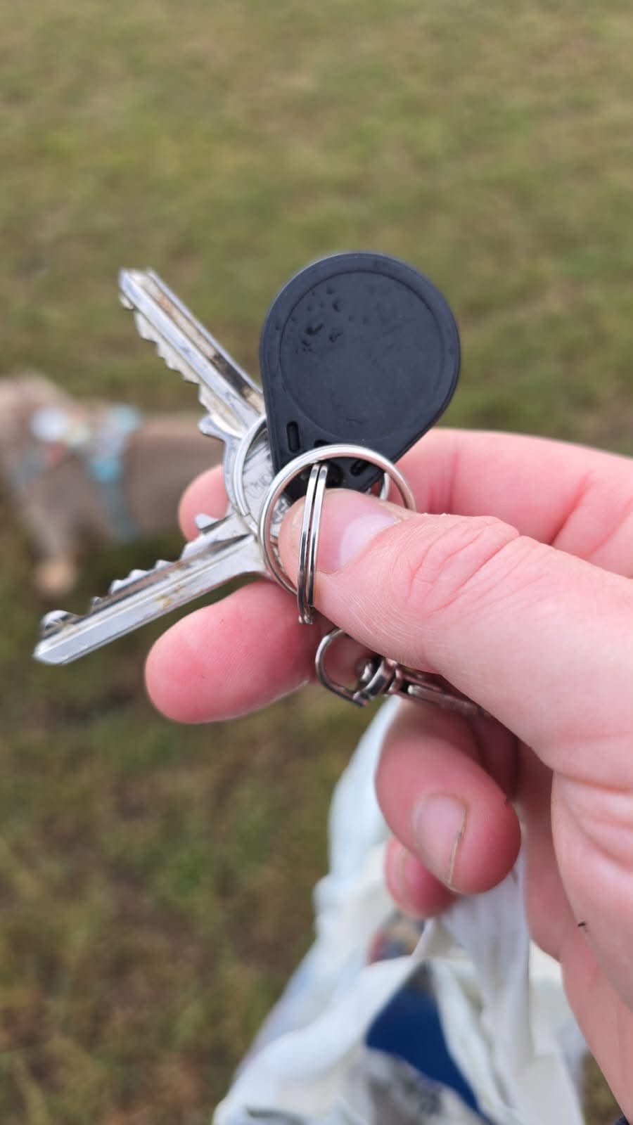 Found Keys in Garden Festival