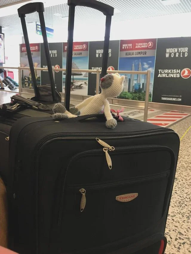 Lost toy