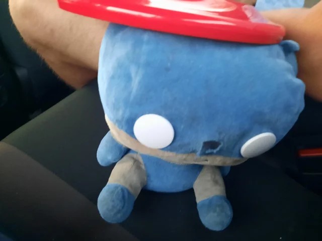 Lost toy