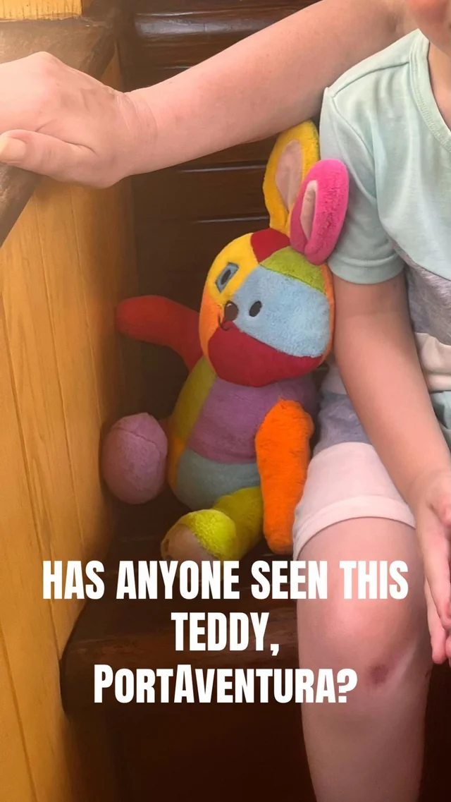 Lost toy