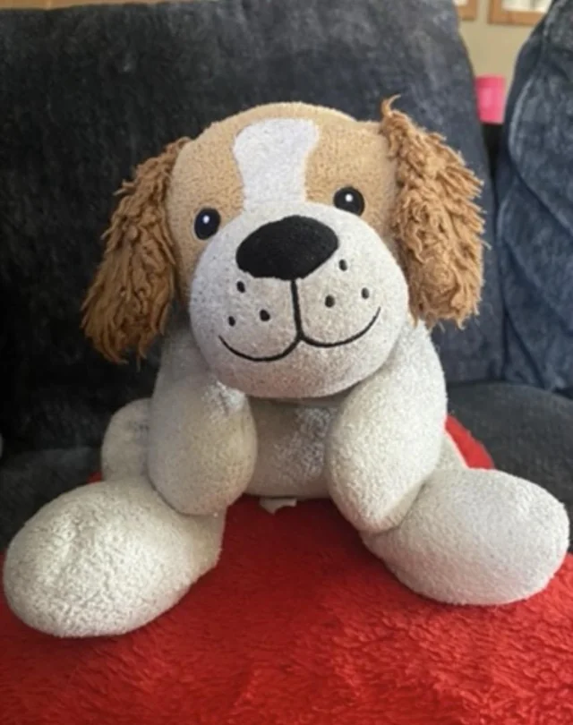 Lost Stuffed Animal in Fairplay