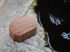 Lost Ring in Japan
