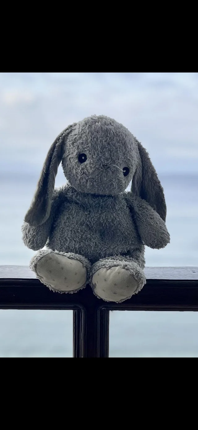 Lost Other in Brooklyn