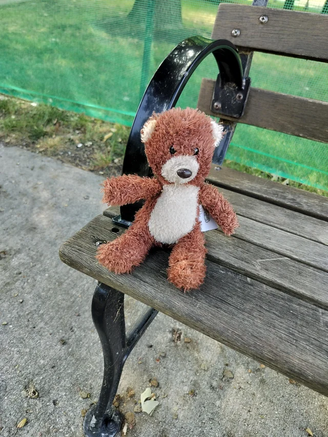 Found teddy bear