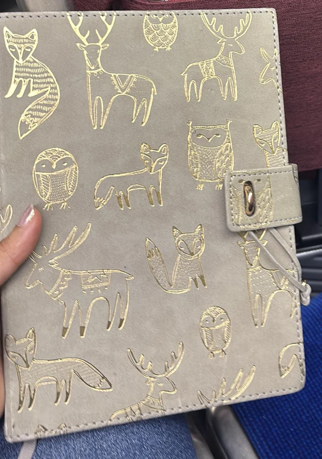 Lost journal