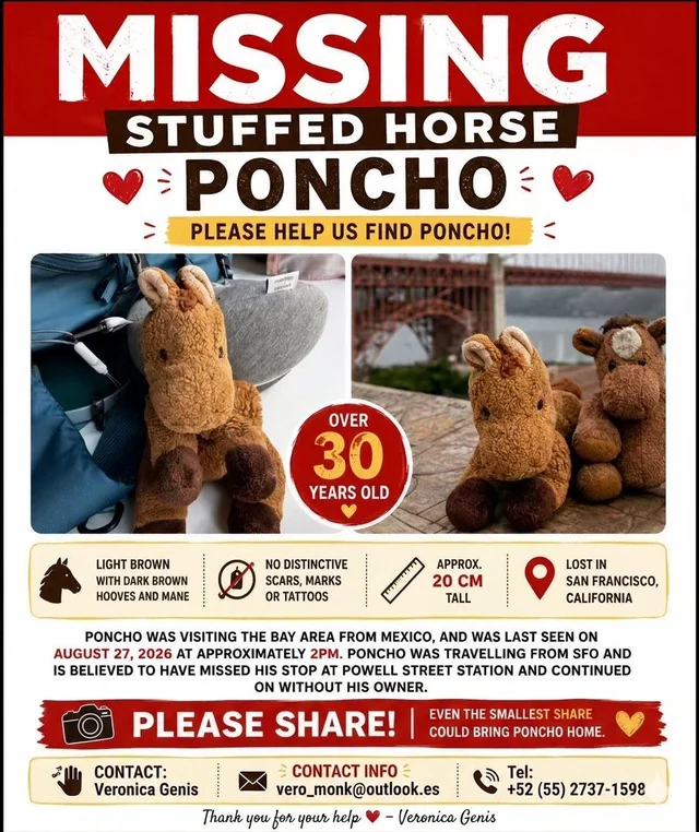 Lost Toy in San Francisco