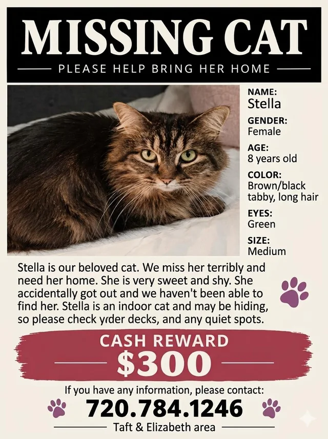 Lost Cat in Fort Collins
