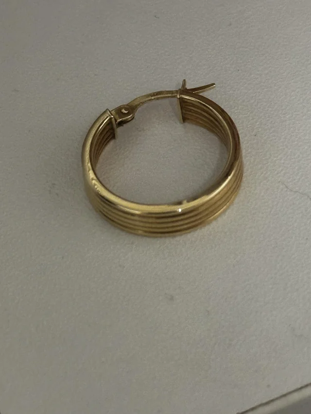 Lost Earring in Montreal