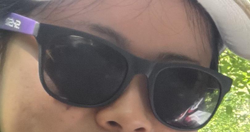 Lost Sunglasses in Christie Pits Park