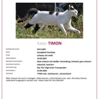 Lost Cat in Baden-WüRttemberg