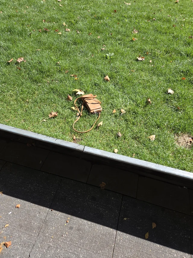 Found wallet