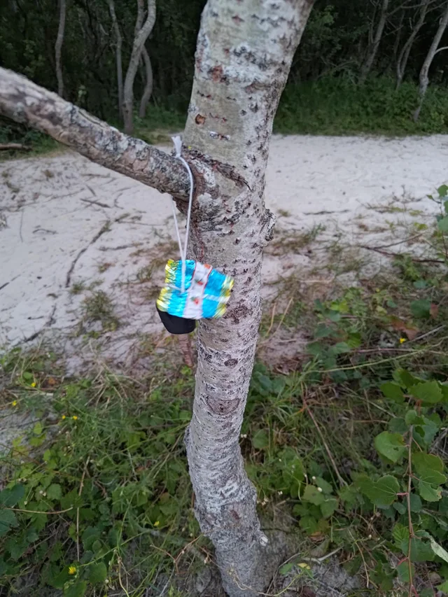 Found keys