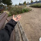 Found keys
