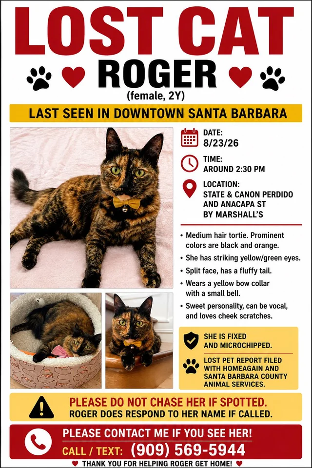 Lost Cat in Santa Barbara