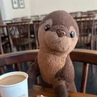 Lost stuffed animal