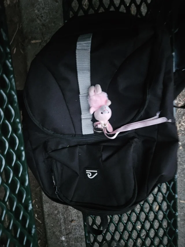 Found backpack