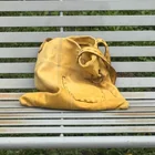 Found bag
