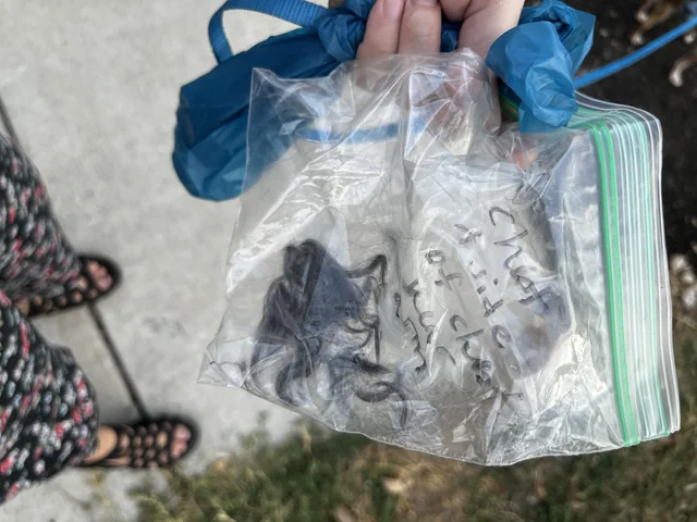 Found bag