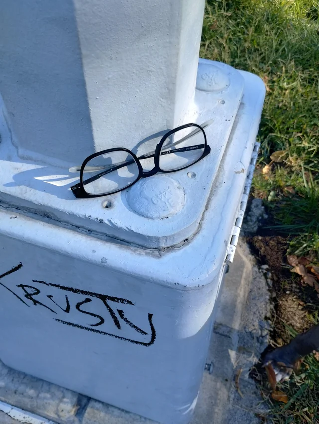 Found glasses